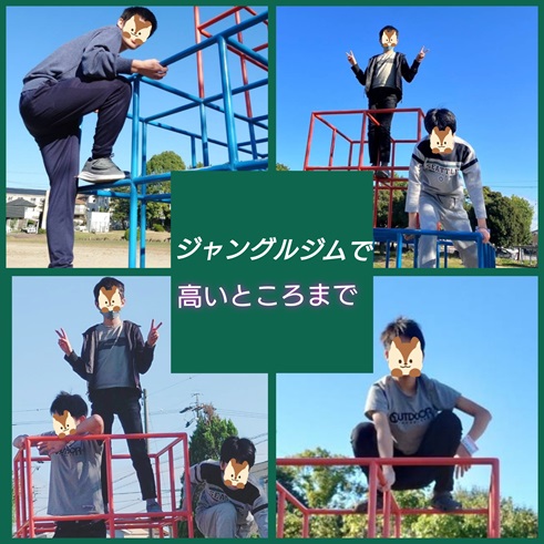 Polish_20241110_084154356